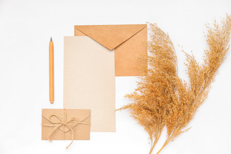 Composition with blank card, envelopes, pen and pampas grass on white backgroundの写真素材