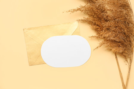 Composition with blank card, envelope and pampas grass on color backgroundの写真素材