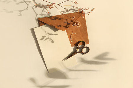Composition with blank card, envelope, scissors and dried flowers on color backgroundの写真素材