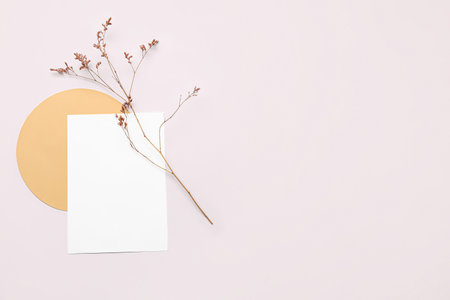 Composition with blank card and dried flower on white backgroundの写真素材