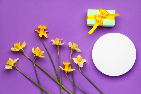Beautiful narcissus, gift box and round blank card on color backgroundの写真素材