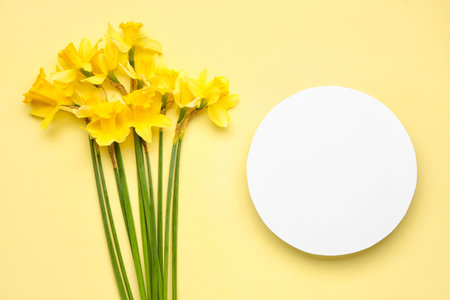 Beautiful narcissus and round blank card on color backgroundの写真素材