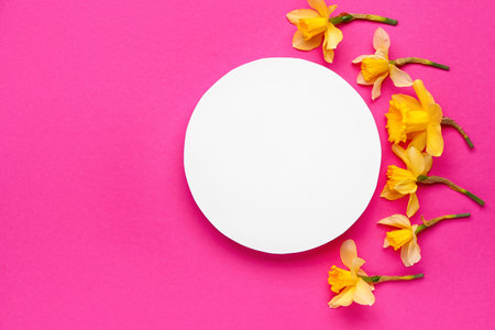 Beautiful narcissus and round blank card on color backgroundの写真素材