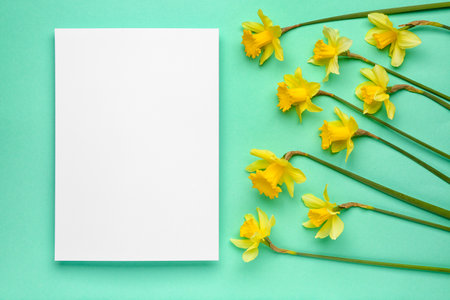 Beautiful narcissus and rectangular blank card on color backgroundの写真素材