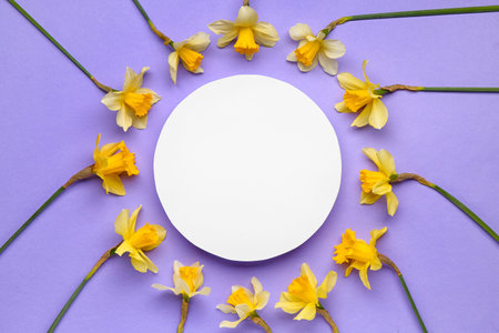 Beautiful narcissus and round blank card on color backgroundの写真素材