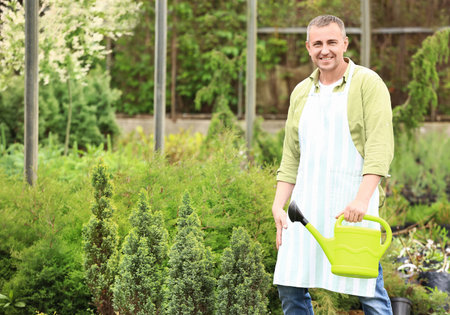 Male gardener with watering can in greenhouseの写真素材