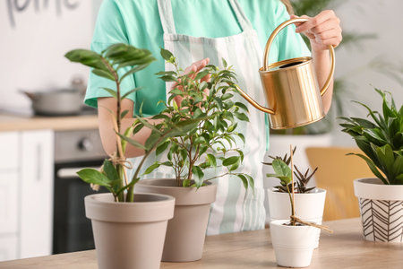 Young woman watering plants at home, closeupの写真素材