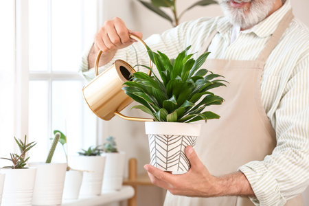 senior man watering plants at homeの写真素材