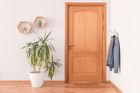 Interior of modern stylish hallway with door matの写真素材