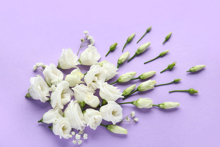 Beautiful composition with eustoma flowers on lilac backgroundの写真素材
