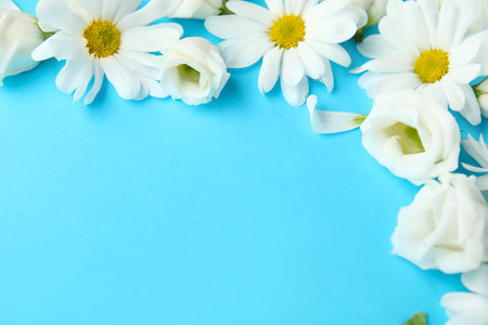Composition with beautiful chamomile and eustoma flowers on color background, closeupの写真素材