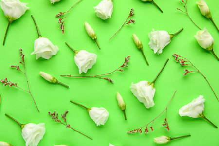 Composition with delicate eustoma flowers on green backgroundの写真素材