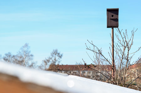View of wooden bird house in village