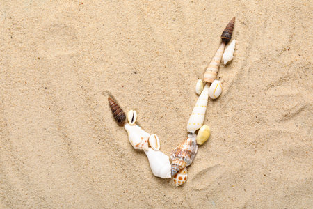 Check mark made of seashells on sandの写真素材