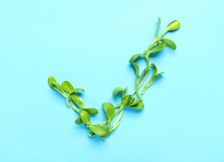 Check mark made of sprouts on blue backgroundの写真素材