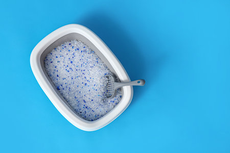 Litter box for cat on blue background, top viewの写真素材