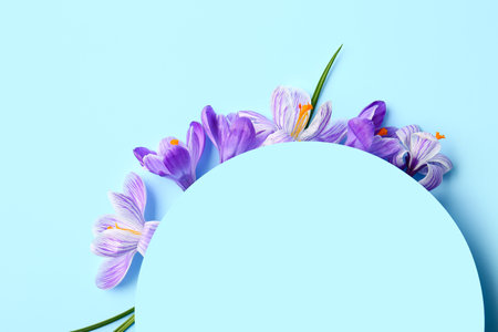 Beautiful Saffron flowers and blank card on blue background, closeupの写真素材