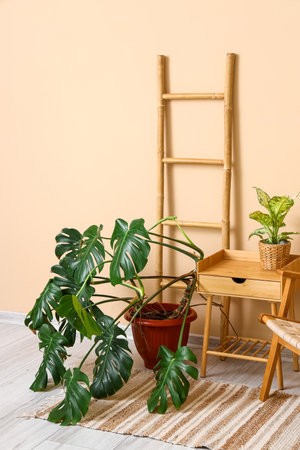 Interior with wooden furniture and tropical houseplantsの写真素材