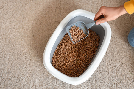Owner cleaning cat litter box, top viewの写真素材