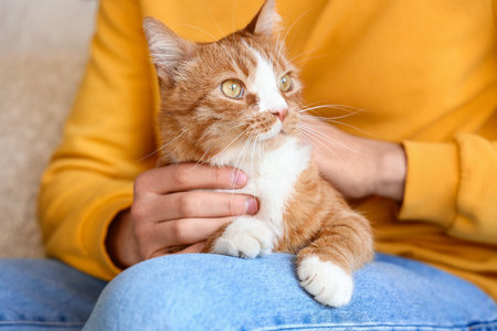 Funny red cat with owner at homeの写真素材