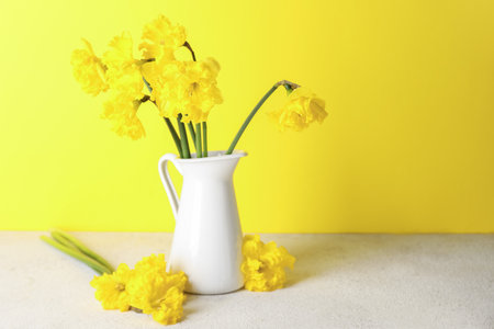 Vase with beautiful narcissus flowers on light tableの写真素材