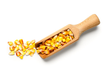 Scoop with corn on white background. Festa Junina (June Festival) celebration