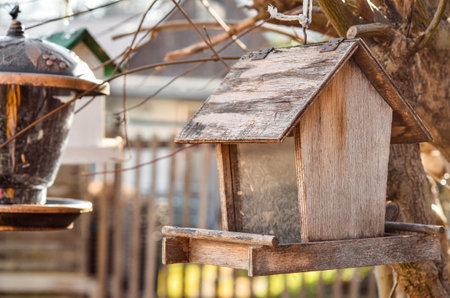 View of bird house in village, closeupの写真素材