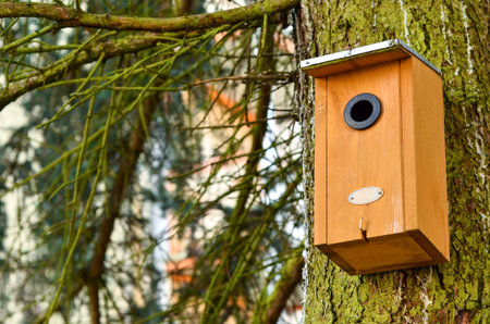 View of bird house on treeの写真素材