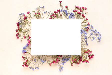 Blank card with gypsophila flowers on light backgroundの写真素材