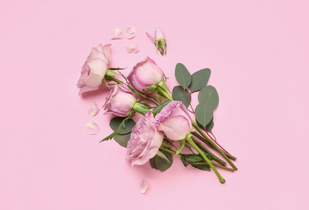 Beautiful roses with eucalyptus branches on pink backgroundの写真素材