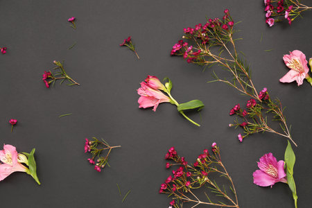 Beautiful pink flowers on black backgroundの写真素材