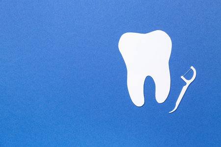 Floss toothpick and tooth model on blue backgroundの写真素材