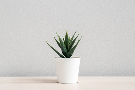 Artificial aloe on table near light wallの写真素材