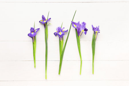 Purple iris flowers on white wooden backgroundの写真素材