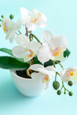 Artificial orchid flower on blue background, closeupの写真素材
