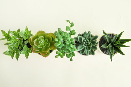 artificial plants on white backgroundの写真素材