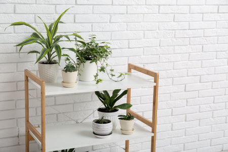 Shelving unit with green houseplants near white brick wallの写真素材
