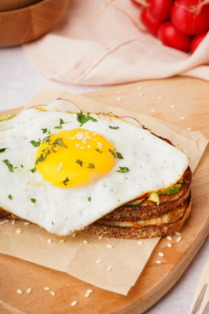 Delicious sandwich with fried egg on light backgroundの写真素材