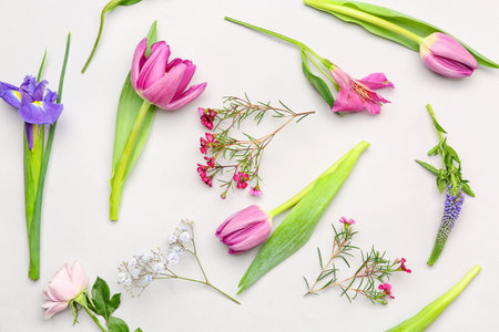 beautiful flowers on white background