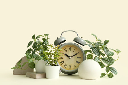 Artificial plants with alarm clock on light backgroundの写真素材