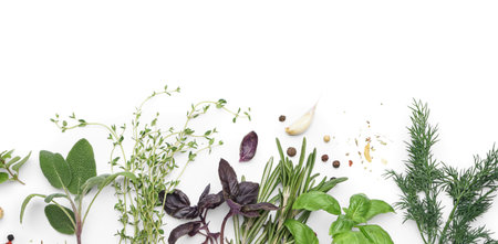 Composition with fresh herbs and spices isolated on white background, closeupの写真素材
