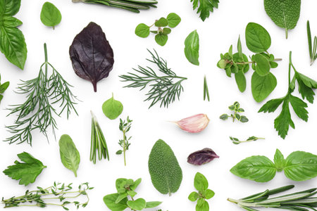 Assortment of fresh herbs on white backgroundの写真素材