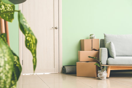 Cardboard boxes with accessories and sofa in new flat on moving dayの写真素材