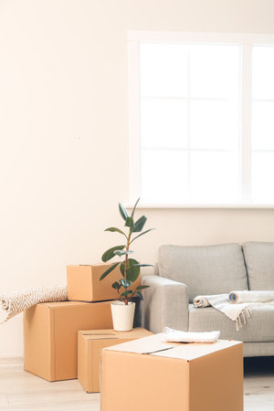 Cardboard boxes with accessories and sofa in new flat on moving dayの写真素材