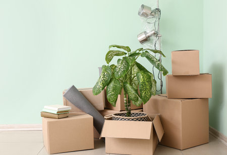 Cardboard boxes with accessories in new flat on moving dayの写真素材