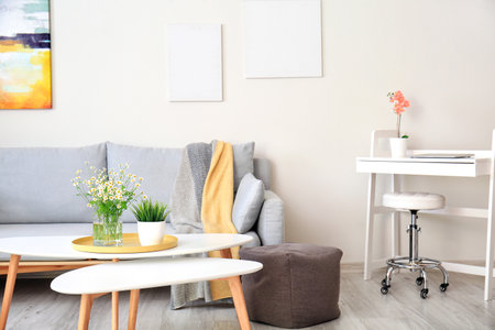 Interior of modern living room with comfortable sofaの写真素材
