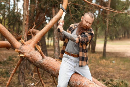 Handsome lumberjack cutting down trees in forestの写真素材