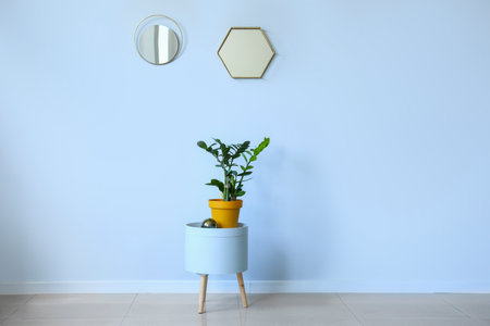 Mirrors and table with houseplant near light wallの写真素材