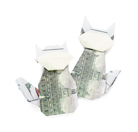 Origami cats made of dollar banknotes on white backgroundの写真素材