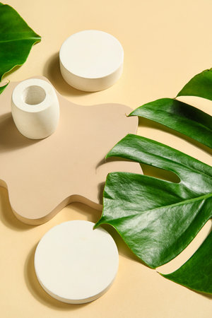 Plaster podiums and monstera leaves on beige backgroundの写真素材